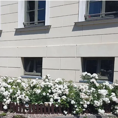 Apartment Urlaub Im Herzen Wismars Souterrain Wismar